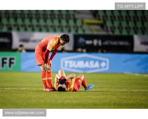 上海篮球队配合默契创历史新高引发热议与期待