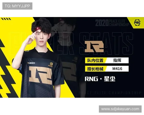 和平精英巨献：深入解析RNG战队的游戏意识与团队协作策略